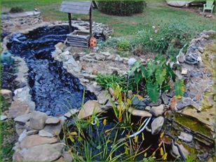 Rock-edged backyard pond with its EPDM liner coated black in PondPro 2000
