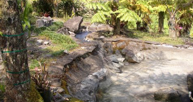 Fish Pond Repair easy with PondPro2000