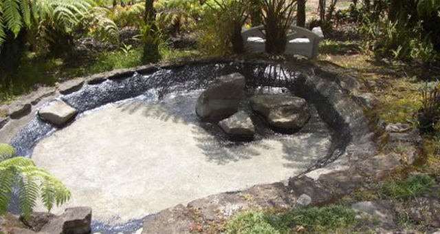 Add life in your pond by using EDPM pond liner