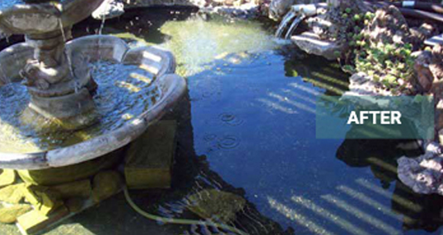 What to Look for With Pond Liners
