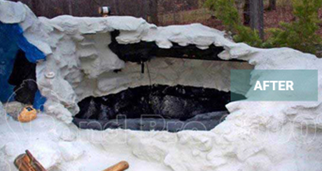 Seasonal Fish Pond Maintenance