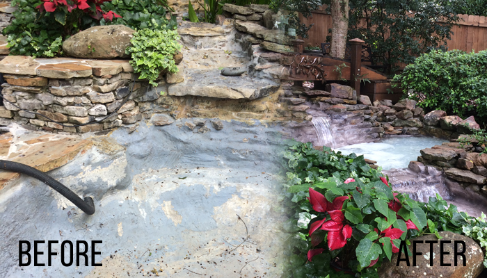 Understanding and Repairing Pond Leaks