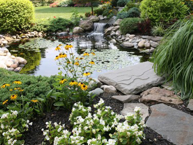 Things to Consider When You Repair the Pond