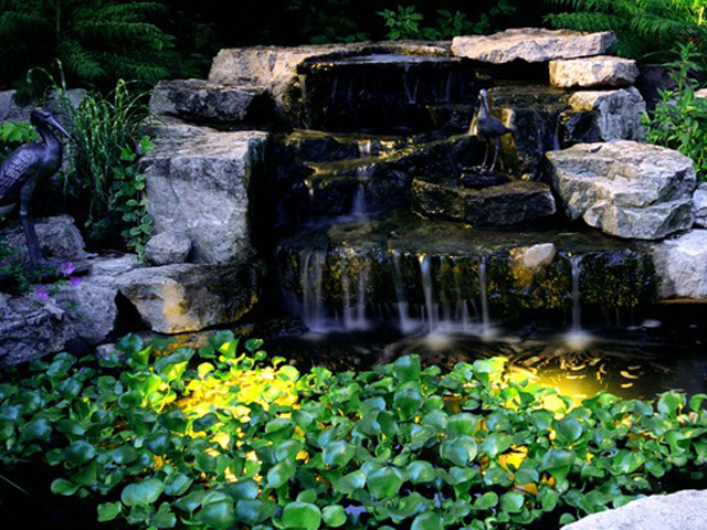 Tips for Proper Fish Pond Coating
