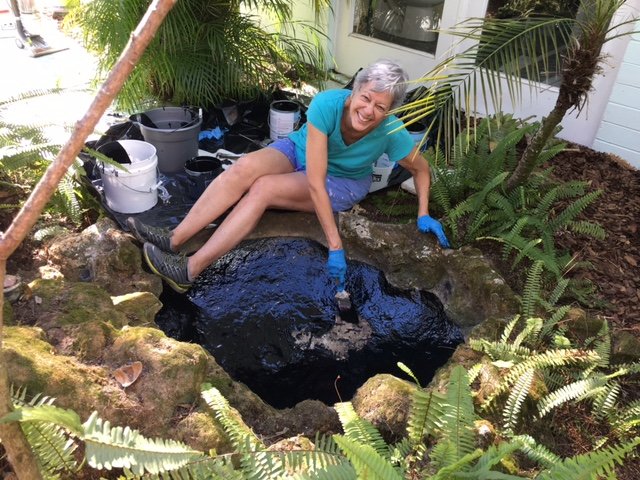 Simple Steps to Sealing a Pond