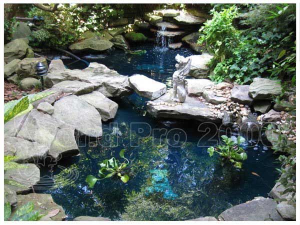 Backyard pond with natural stone edging and calm water feature by pondpro2000.com