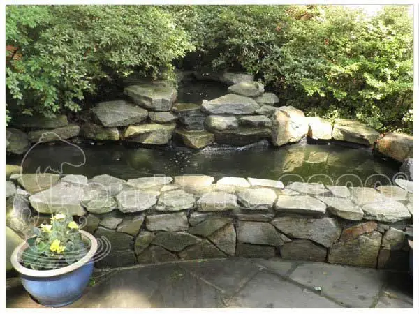 Backyard stone pond with natural rock edging and calm water feature by pondpro2000.com
