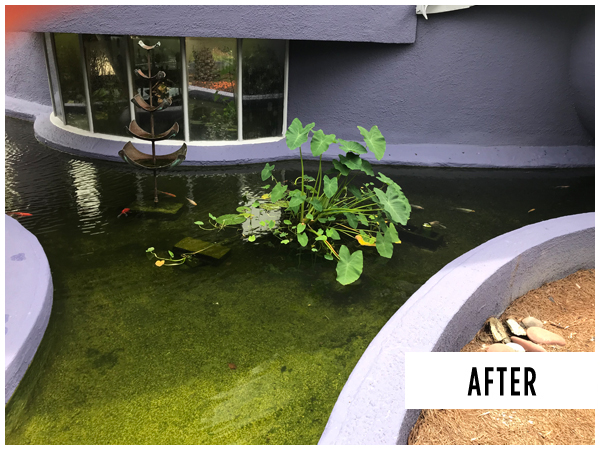 Sealing your concrete pond